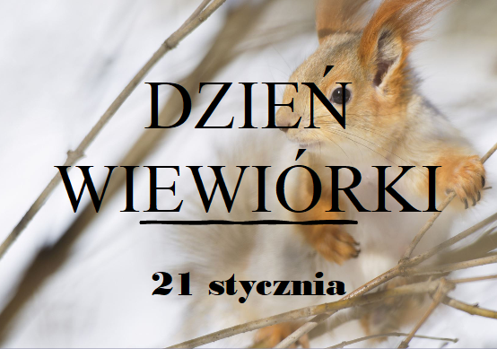 wiewiórka