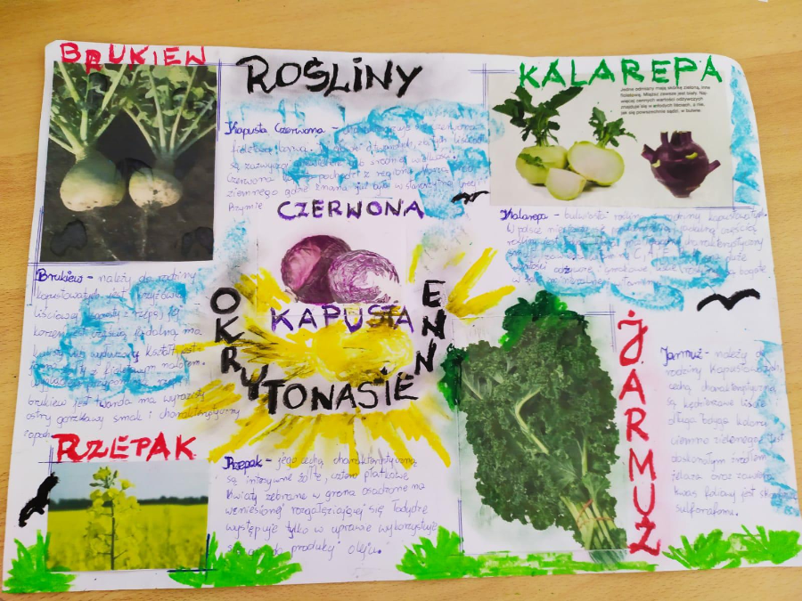  Grafika #0: Zielniki uczniów klasy 5a i 5b