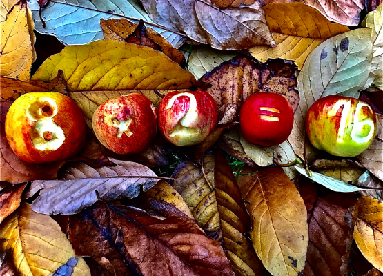 Zofia Solska - wyrzeźbione działanie w jabłkach na jesiennym tle.