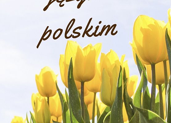 Tulipany grafika