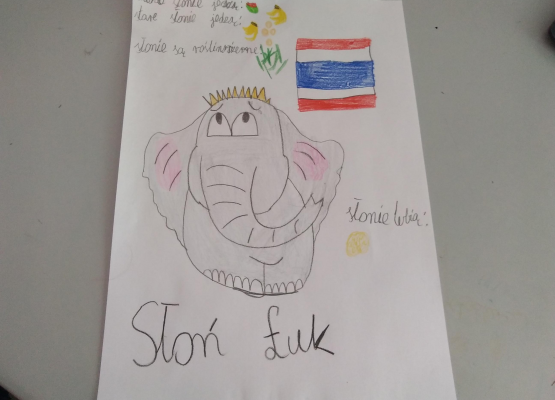 Weronika Czerwińska Słoń