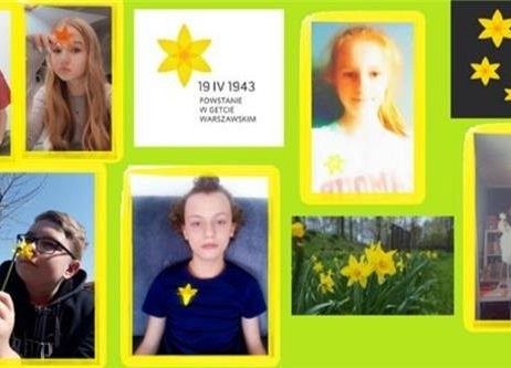 Grafika 20: AKCJA ŻONKILE