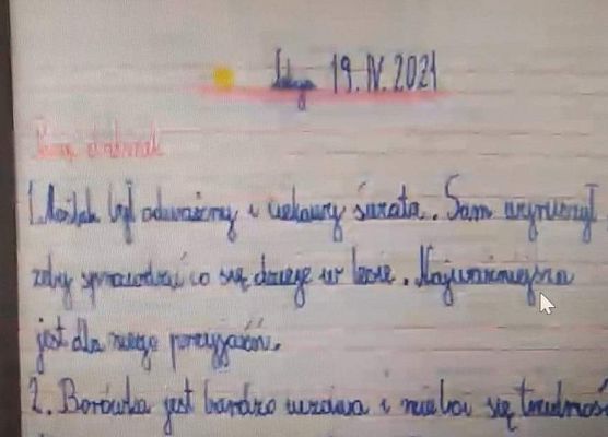 Grafika 12: AKCJA ŻONKILE