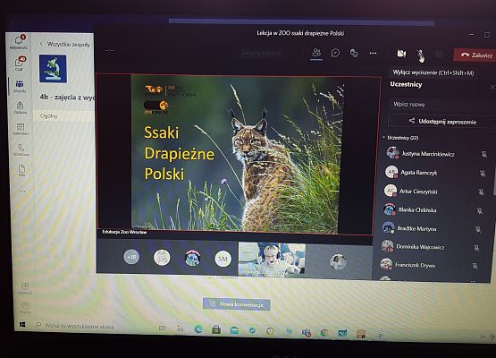 Ssaki drapieżne Polski