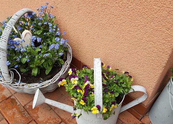 wystrój przed wejściem