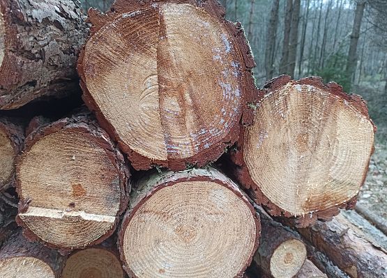 Nataniel Powideł kl.6a koła styczne zewnętrznie