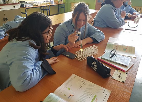 7c Wykrywanie wody w liściach