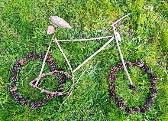 rower z szyszek, patyków na trawie