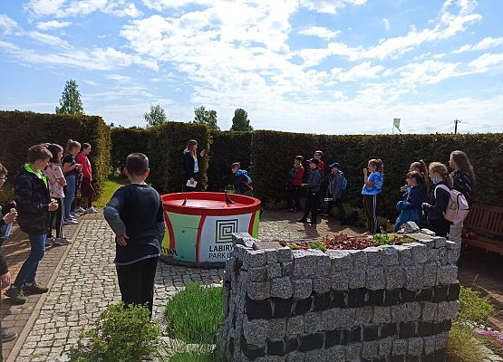 Konkurencje w labiryncie