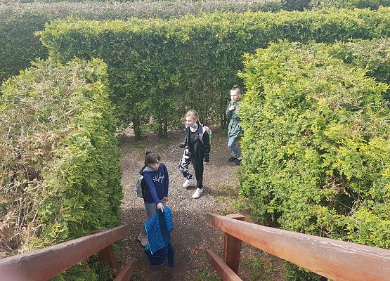 Szukamy drogi w labiryncie