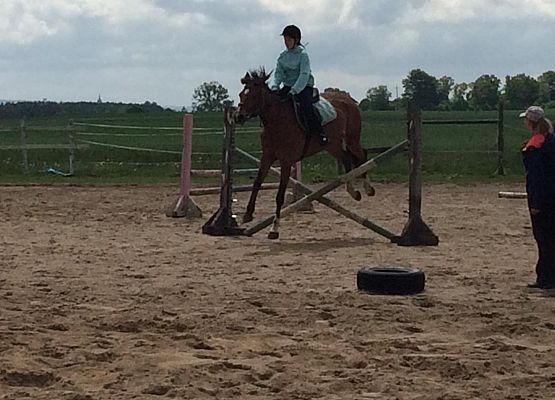 Skakanie przez przeszkodę na koniu