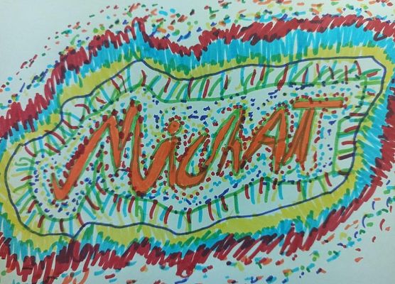 wykropkowane imię Michał