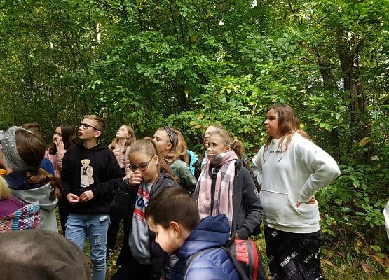 Lekcja w lesie