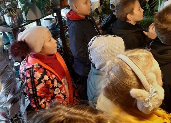 poznajemy zawód florysty A. Bojarczuk 2a