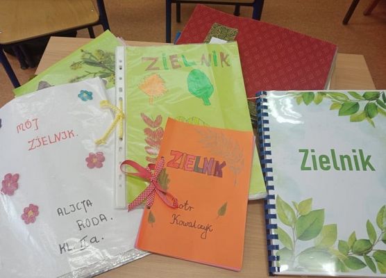 W poszukiwaniu darów jesieni, klasa II a