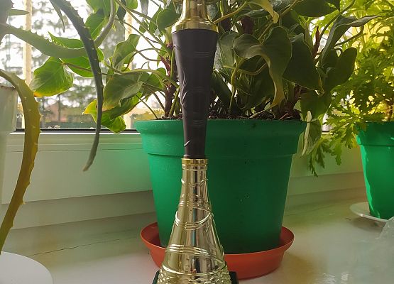 puchar naszych koszykarek