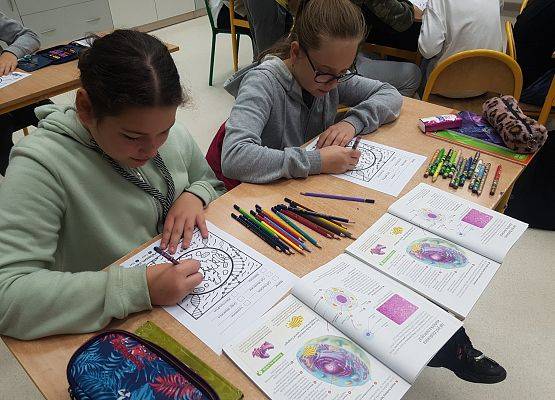 dziewczynki kolorują schemat komórki