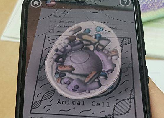 model komórki w aplikacji Quiver