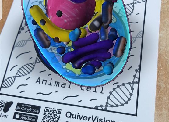 model komórki w aplikacji Quiver