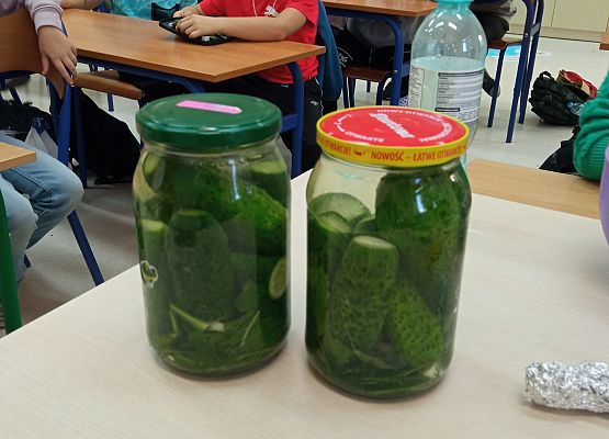 Ogórki zakiszone czekają na zimę