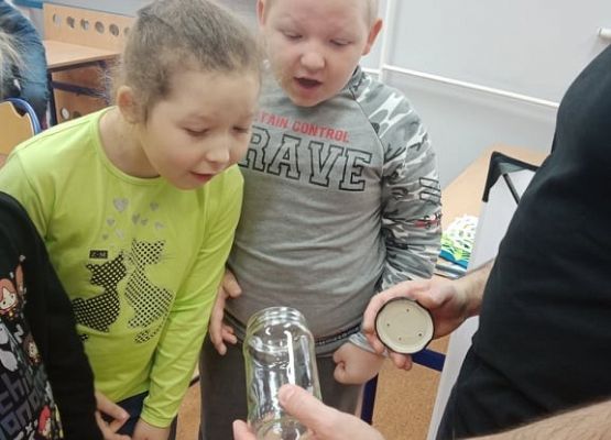 pająki, K. Lewandowska, M. Klein, kl. II a