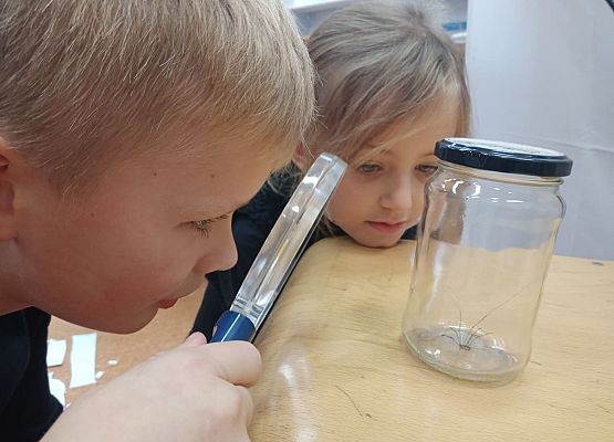 pająki, M. Kendyś, M. Makurat, kl. II a