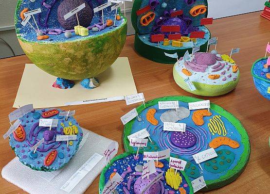 Modele komórek uczniów klasy 5a