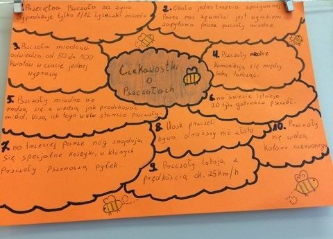 ciekawostki o pszczołach