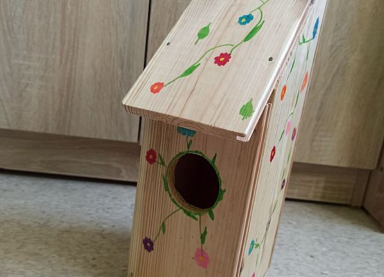 budka lęgowa Mai Michalskiej