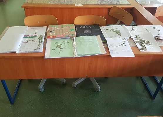 zielniki klasy 5b - wystawa prac