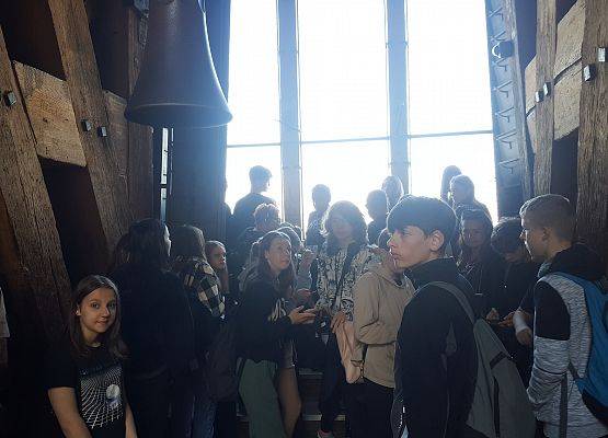 Amelia Dzwon Zygmunta