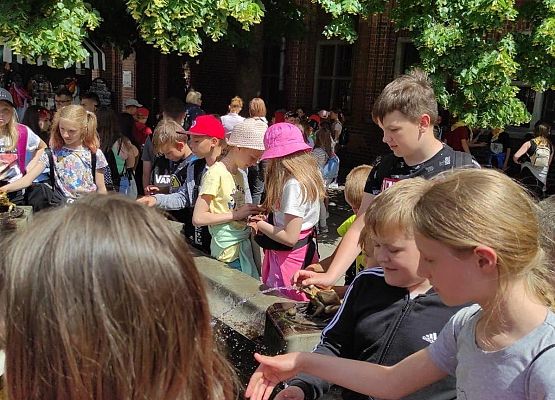 dotykamy żabki przy fontannie