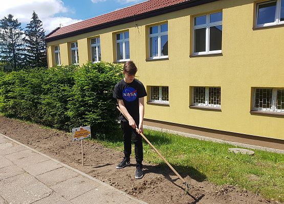 Stasiu grabi grządki