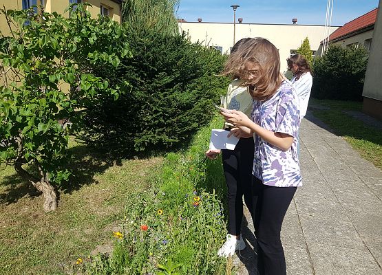 dziewczynki wyszukują informacje na temat rozpoznanych roślin