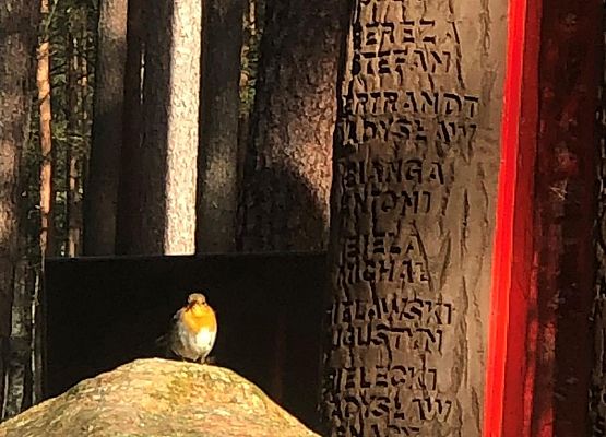 ptak w miejscu pamięci