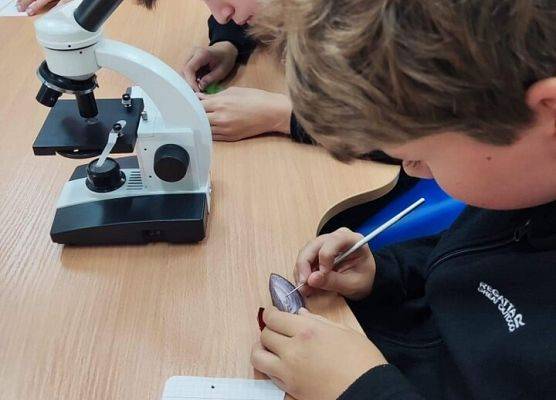 Chłopcy przygotowują preparaty mikroskopowe