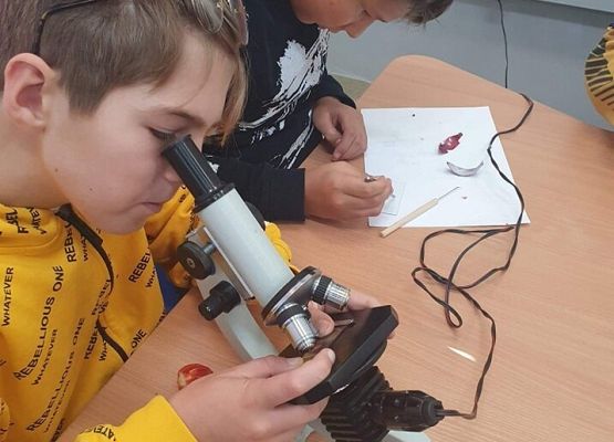 Kuba i Adam wykonują i obserwują preparaty