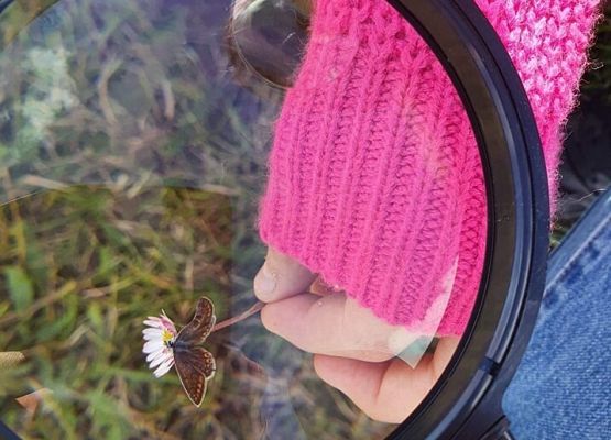 Obserwacja motyla za pomocą lupy