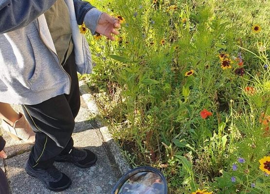 Obserwacje za pomocą lupy