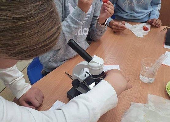 Uczennice wykonują preparat mikroskopowy