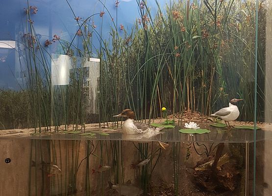 Przekrój przez zbiornik wodny