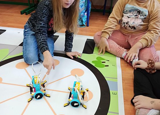 Robot sprzątający na macie