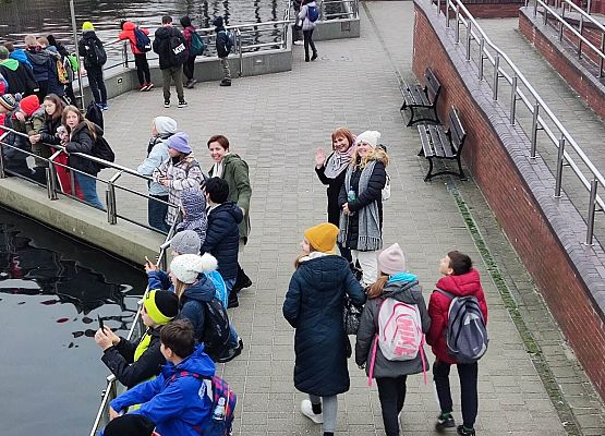 czekamy na karmienie fok