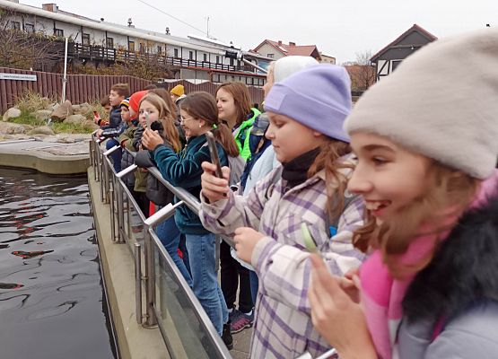 dziewczynki patrzą na karmienie fok