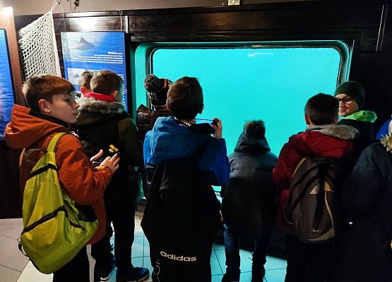 chłopcy patrzą na akwarium