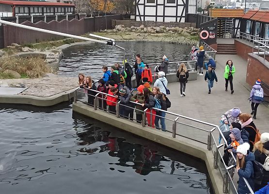 basen w którym odbywa się trening medyczny