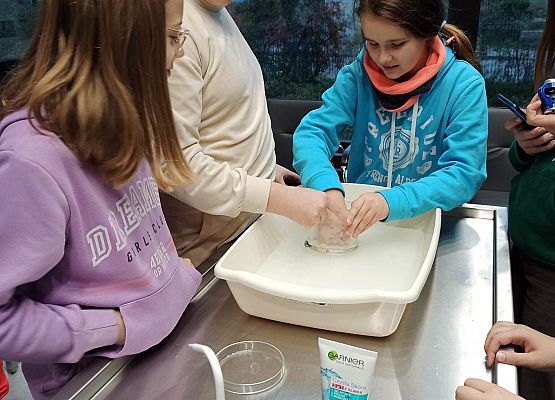 dziewczynki pracują w grupach