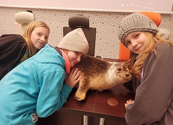 dziewczynki z foczką