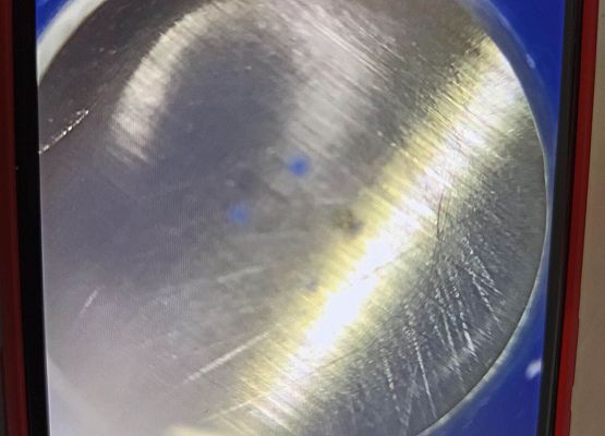 mikroplastik pod lupą