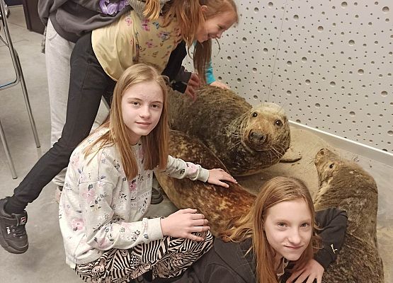 dziewczynki z fokami